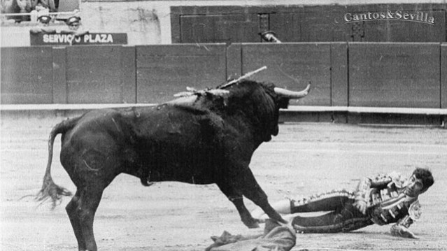 La trágica cogida de José Falcón.